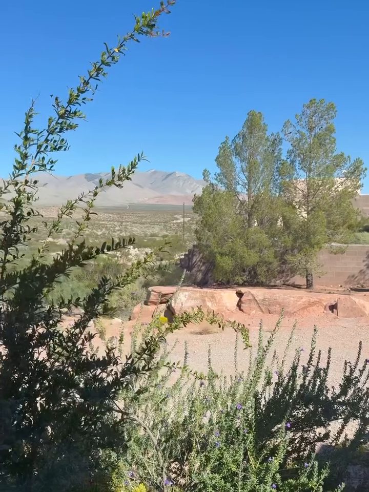 High desert landscape and mountains surrounding The Dome Collective studio outside Las Vegas, Nevada